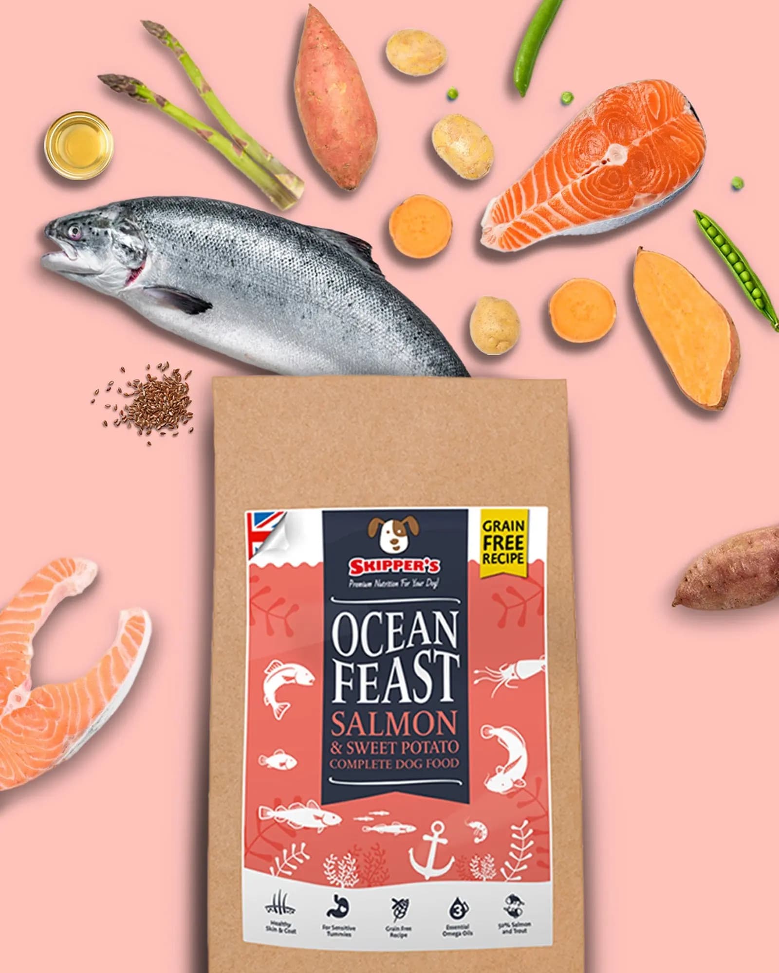 ocean feast grain free salmon sweet potato